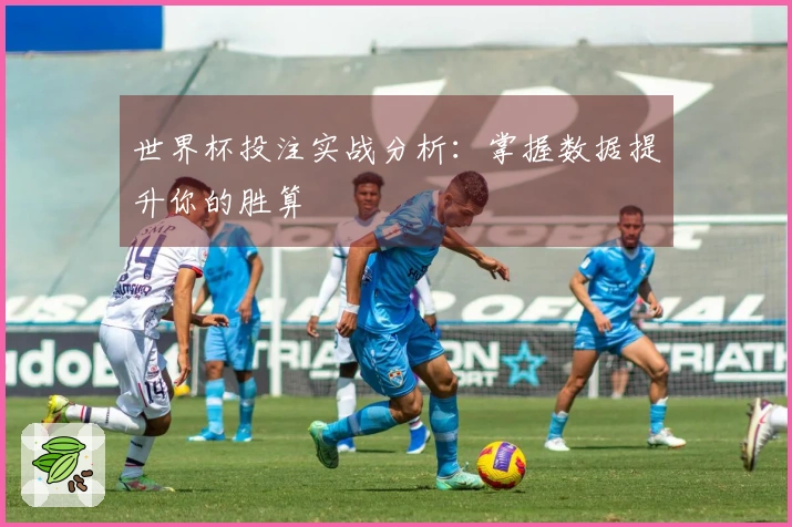 世界杯投注实战分析：掌握数据提升你的胜算
