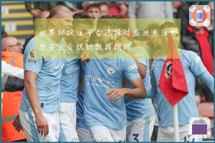 世界杯投注平台选择时应该关注哪些安全合规的数据指标