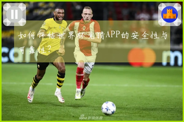 如何评估世界杯竞猜APP的安全性与可靠性？