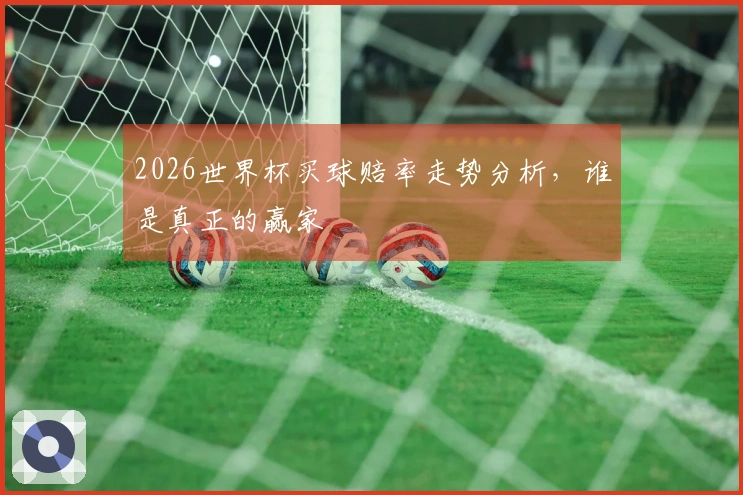 2026世界杯买球赔率走势分析，谁是真正的赢家