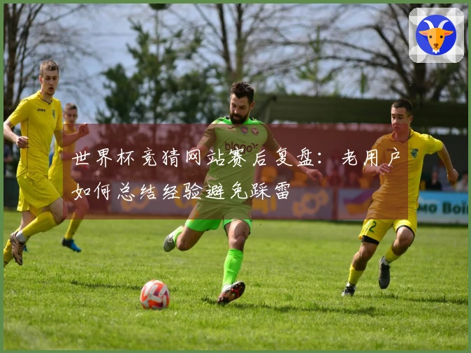 世界杯竞猜网站赛后复盘：老用户如何总结经验避免踩雷