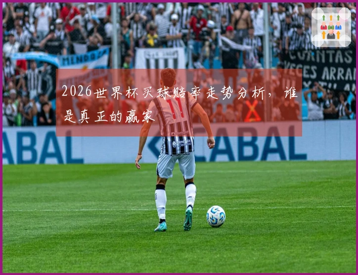 2026世界杯买球赔率走势分析，谁是真正的赢家