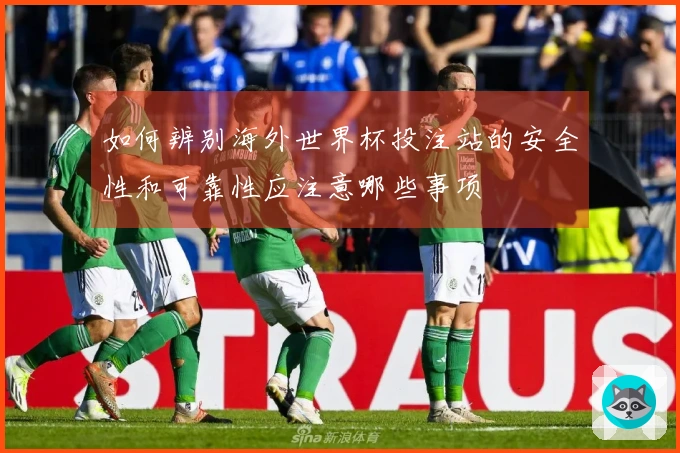 如何辨别海外世界杯投注站的安全性和可靠性应注意哪些事项