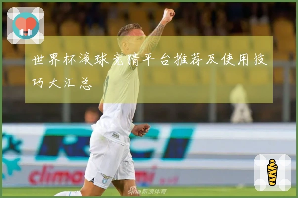 世界杯滚球竞猜平台推荐及使用技巧大汇总