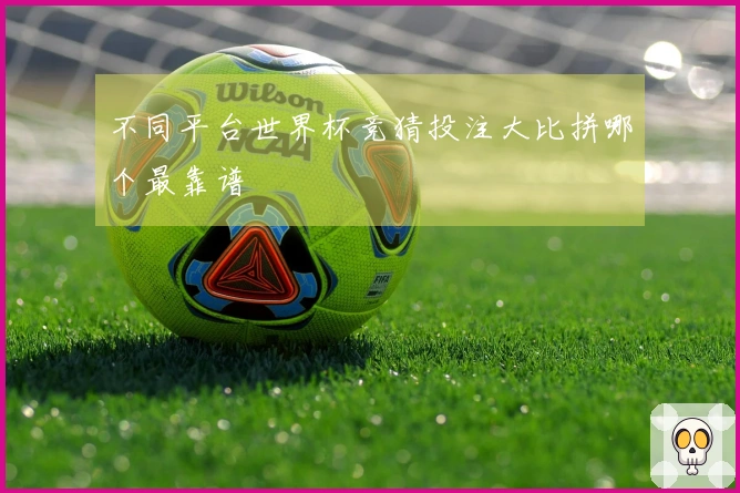 不同平台世界杯竞猜投注大比拼哪个最靠谱