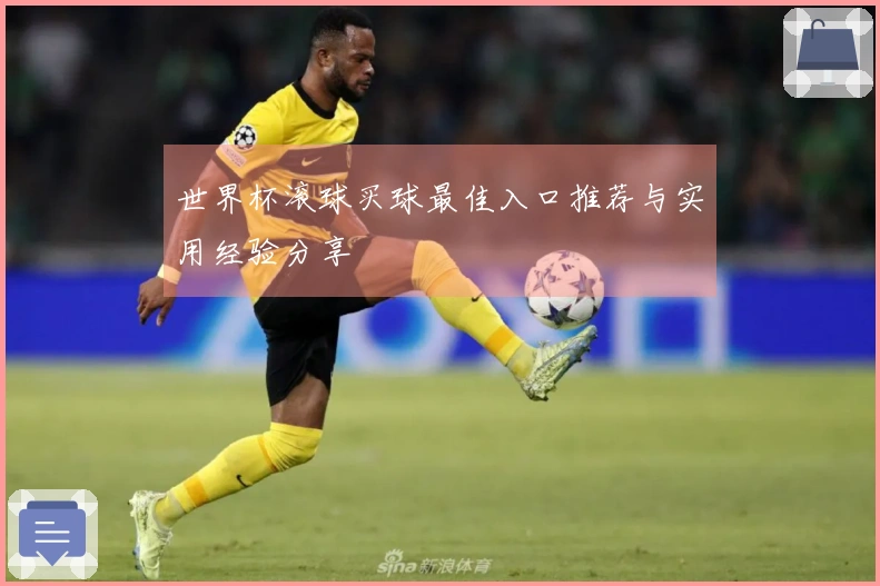 世界杯滚球买球最佳入口推荐与实用经验分享