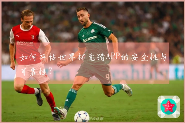 如何评估世界杯竞猜APP的安全性与可靠性？