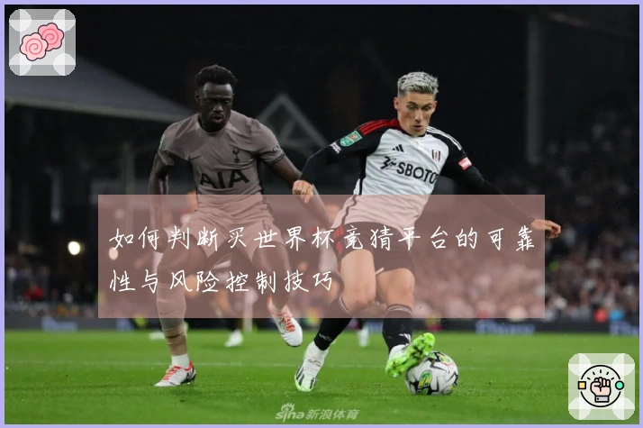 如何判断买世界杯竞猜平台的可靠性与风险控制技巧