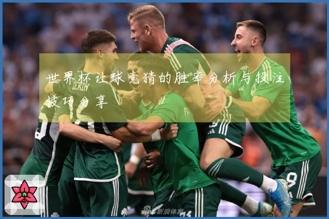 世界杯让球竞猜的胜率分析与投注技巧分享