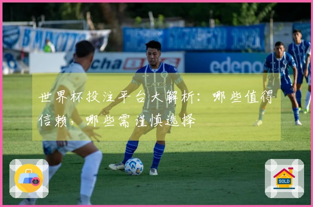 世界杯投注平台大解析:哪些值得信赖,哪些需谨慎选择