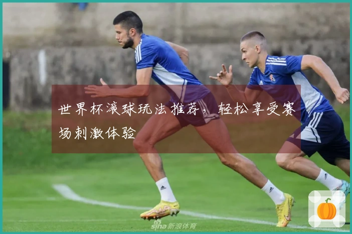 世界杯滚球玩法推荐，轻松享受赛场刺激体验