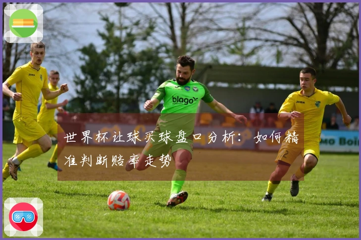 世界杯让球买球盘口分析：如何精准判断赔率走势