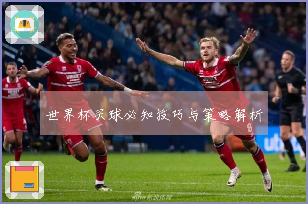 世界杯买球必知技巧与策略解析