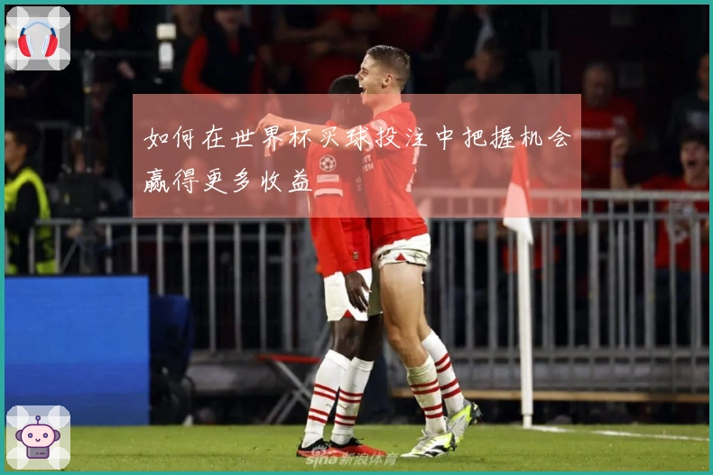 如何在世界杯买球投注中把握机会赢得更多收益