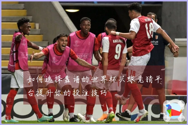 如何选择靠谱的世界杯买球竞猜平台提升你的投注技巧