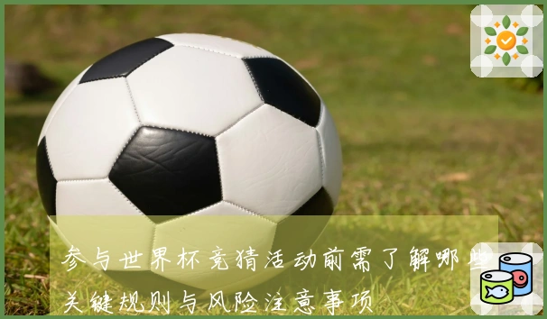 参与世界杯竞猜活动前需了解哪些关键规则与风险注意事项