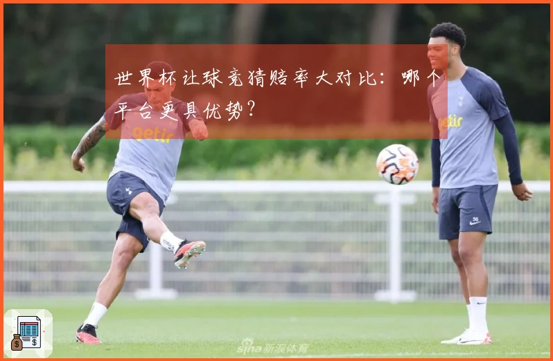 世界杯让球竞猜赔率大对比：哪个平台更具优势？