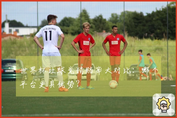 世界杯让球竞猜赔率大对比：哪个平台更具优势？