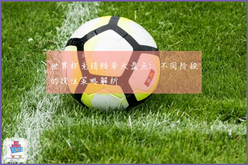 世界杯竞猜赔率大盘点：不同阶段的投注策略解析