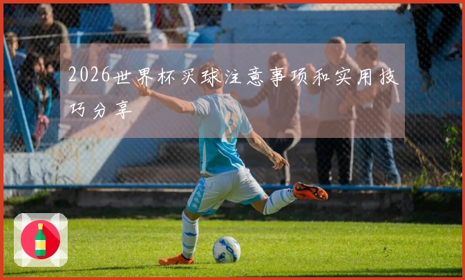 2026世界杯买球注意事项和实用技巧分享