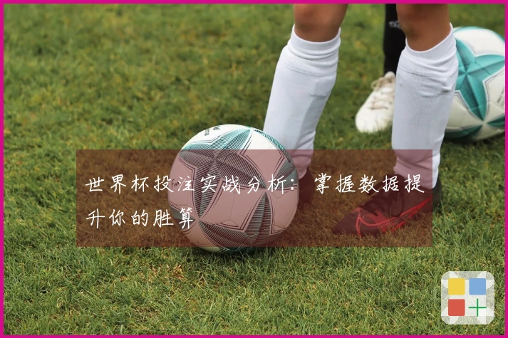 世界杯投注实战分析：掌握数据提升你的胜算