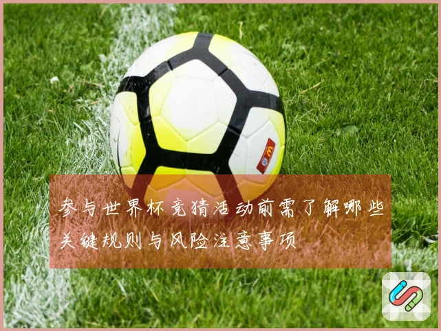参与世界杯竞猜活动前需了解哪些关键规则与风险注意事项