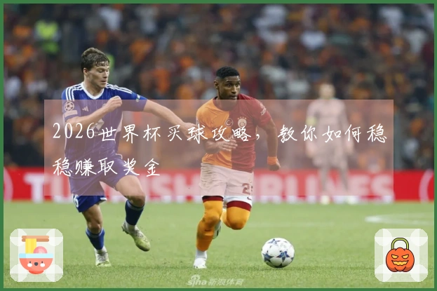 2026世界杯买球攻略，教你如何稳稳赚取奖金