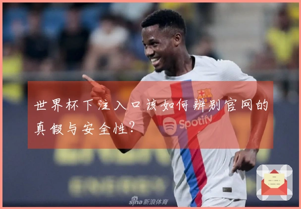 世界杯下注入口该如何辨别官网的真假与安全性？