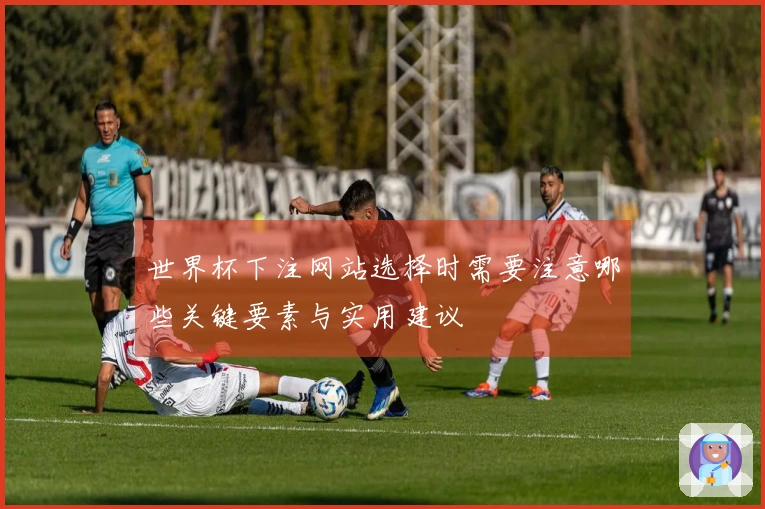 世界杯下注网站选择时需要注意哪些关键要素与实用建议