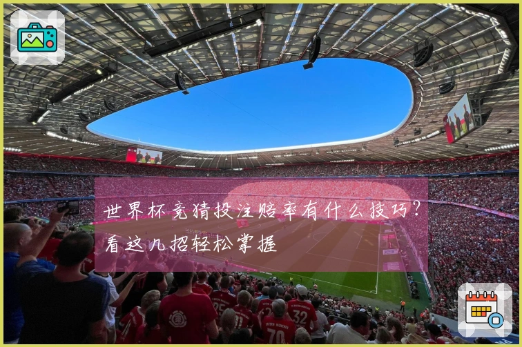 世界杯竞猜投注赔率有什么技巧？看这几招轻松掌握