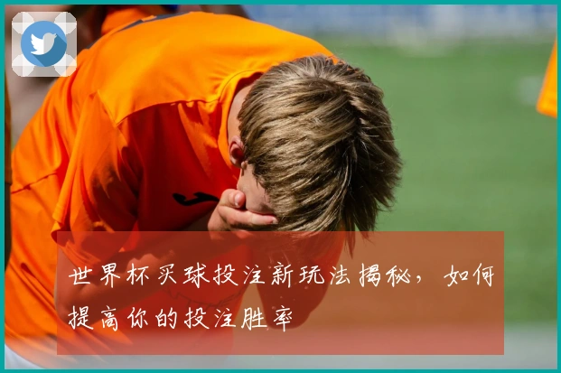 世界杯买球投注新玩法揭秘，如何提高你的投注胜率