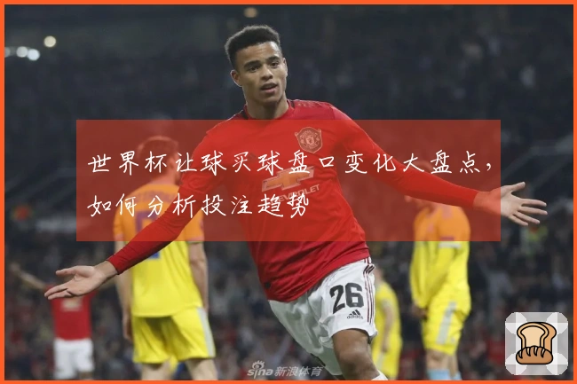 世界杯让球买球盘口变化大盘点，如何分析投注趋势
