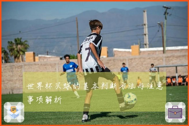 世界杯买球的基本判断方法与注意事项解析